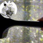 2-in-1 Window Screen Cleaner – Safely Clean High Windows & Remove Pet Hair in Minutes