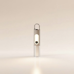 Multi-Functional High-Power Flashlight (Model: SD-X9)